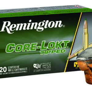 Remington Core-Lokt Tipped .300 Win Mag 180gr Ammunition - 20 Rounds per Box 047700417905