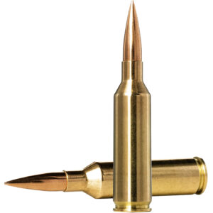 Norma Precision Golden Target Match 6.5PRC Ammunition - 143gr Hollow Point Boat Tail - 20 Rounds 7393923325460