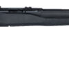 Savage Arms 70800 B17 F Bolt Action 17 HMR Caliber with 10+1 Capacity, 21" Barrel, Matte Blued Metal Finish & Matte Black Synthetic Stock Right Hand (Full Size)