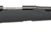 Savage Arms 57040 110 Hunter 30-06 Springfield 4+1 22", Matte Black Metal, Gray Fixed AccuStock with Accufit