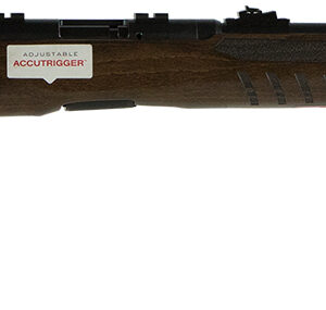 Savage Arms 70810 B17 G Full Size Bolt Action 17 HMR 10+1 21" Barrel, Matte Blued Metal Finish & Satin Hardwood Stock