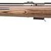Savage Arms 96210 93R17 BTVLSS 17 HMR Caliber with 5+1 Capacity, 21" Barrel, Satin Stainless Metal Finish & Fixed Thumbhole Natural Brown Stock Left Hand (Full Size)