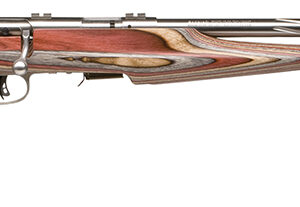 Savage Arms 96771 93R17 BSEV Full Size 17 HMR 5+1 21" Satin Stainless Button-Rifled Spiral Fluted Barrel, Satin Stainless Stainless Steel Receiver, Laminate Evolution Stock, Right Hand