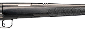 Savage Arms 96901 B.MAG  17 WSM 8+1 22" Matte Black Barrel & Receiver, Black Fixed Polymer Stock