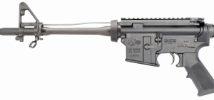 Colt AR-15 Platform Carbine Black Front Sight 098289020246
