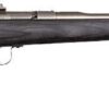 CHIPMUNK RIFLE 22LR - STAINLESS/BLACK LAMINATE
