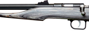 Chipmunk Hunter Pistol .22 WMR - Blued/Black Laminate, Threaded 645221410032