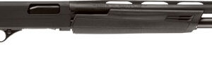 Winchester SXP 20 Gauge Pump-Action Shotgun, 28" Vent Rib Barrel, Matte Black/Synthetic 048702004742