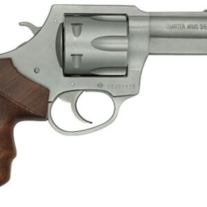 Charter Arms Professional V .357 Magnum 3" Stainless Steel with Walnut Grips 678958735260