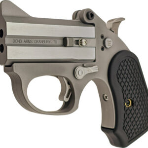 Bond Arms Honey-B .22 WMR Handgun - 3" Matte Stainless, Extended Grip 855959003363