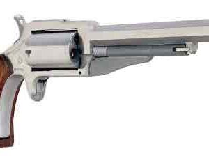 NAA The Earl Mini-Revolver Combo .22LR/.22WMR 4" Stainless Steel with Wood Grips 744253001994