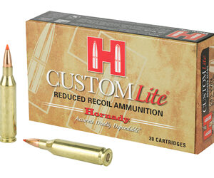 Hornady 243 Winchester 87 Grain SST - 20 Rounds 090255804669