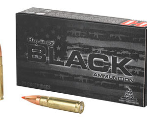 Hornady Black .300 Blackout 110gr VMAX - 20 Rounds per Box 090255808735
