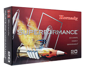Hornady 6mm Creedmoor 90gr CX Rifle Ammo - 20 Rounds 090255719949