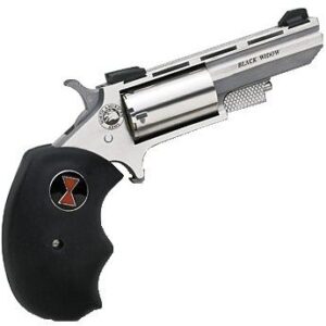 North American Arms Black Widow .22 Magnum/.22 Long 2" Stainless Steel Handgun 744253000355