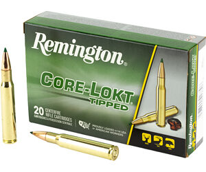 Remington 30-06 Springfield 180 Grain Centerfire Tipped Ammo - 20 Rounds 047700417806