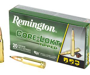 Remington .308 Win 150 Grain Clok Tipped Ammo - 20 Rounds 047700418001