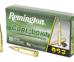 Remington .308 Win 180gr Clok Tipped Ammo - 20 Rounds 047700485102