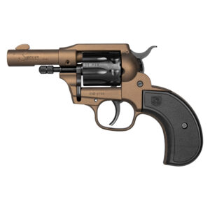 Diamondback Firearms Sidekick .22LR/.22M Birdshead - BZ 810035756106