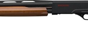 Winchester SXP Youth 12GA Pump-Action Shotgun - 24" Barrel, Matte Black and Walnut Finish 048702017070
