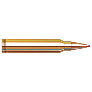 ELD Match 300 Win Mag Ammunition - 195 Grain, 20 Rounds 090255821802