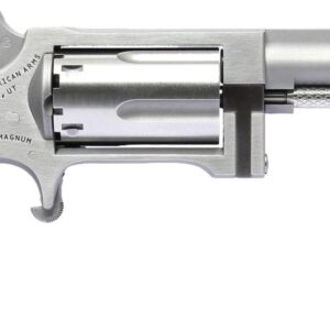 NAA Sidewinder Mini Revolver 2.5" Barrel .22 Magnum/.22 LR 744253002700