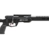 SAVAGE ARMS B22 PRECISION LITE 22LR 18" CF