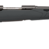 SAVAGE ARMS 110 HUNTER 204RUG BL/SYN 22"