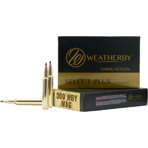 Weatherby 300 WBY 170 gr. Hammer Custom Rifle Ammo - 20 Rounds 747115450176