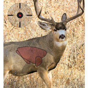 Birchwood Casey 35402 Pregame  Mule Deer Paper Target 16.50" x 24" 3 Per Pkg
