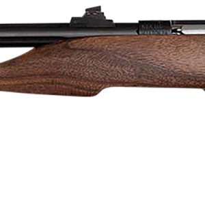 Chipmunk 40001 Hunter Youth Single Shot Handgun - .22 S/L/LR, 9" Threaded Blued Steel Barrel, Walnut Frame EZ Loader 645221400019