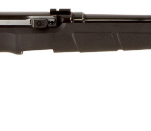 Savage Arms 47007 A17  Semi-Auto 17 HMR Caliber with 10+1 Capacity, 22" Heavy Barrel, Satin Black Metal Finish & Matte Black Synthetic Stock Right Hand (Full Size)