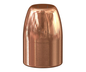 SPR GOLD DOT .451 230GR HP 100CT