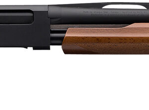 Winchester SXP Field Youth 20 Gauge Pump-Action Shotgun, 24" Barrel, 5+1 Capacity, Matte Black Finish, Satin Walnut Stock, Right Hand, Includes 3 Invector-Plus Chokes 048702017117