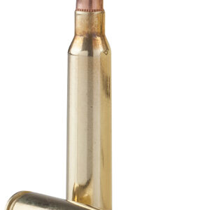 TR&Z Range Master 5.56x45mm NATO Full Metal Jacket Ammo - 125 Rounds per Box 8605003820635