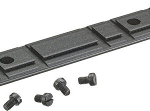 RUGER SCOPE BASE 10/22 - BLUE