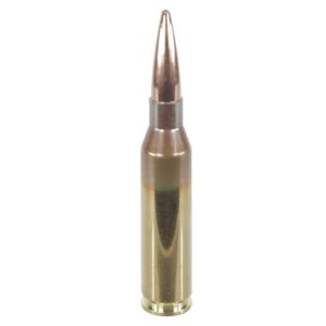 Lapua .260 Rem 136gr Scenar OTM Rifle Ammunition - 50 Rounds 6418267103831