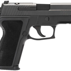 Sig Sauer E29R9BSER2 P229  9mm Luger 15+1 3.90" Optic Ready Black Compact Frame E2 Grip