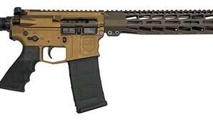 DARK STORM DS15 Typhon Standard .556 Rifle CH 496377047432