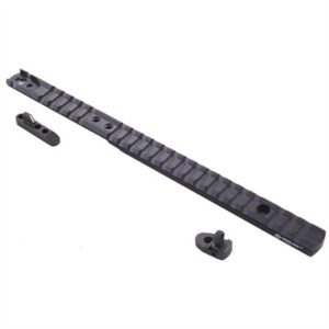 MARLIN 1895 LEVER RAIL SIGHT SYSTEM