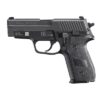 P229 M11-A1 9MM LUGER 3.9'' BBL (3)15RD MAGS DA/SA BLACK