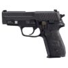 P229 M11-A1 9MM LUGER 3.9'' BBL (3)10RD MAGS DA/SA BLACK