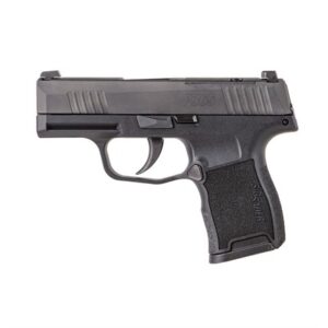 P365-380 MICRO-COMP 380 ACP 3.1'' BBL (2)10RD NMS STRIKER BLK