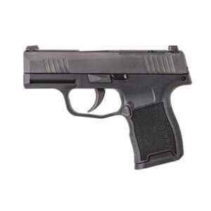 P365-380 MICRO-COMP 380 ACP 3.1'' BBL (2)10RD MS STRIKER BLK