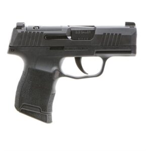 P365 MICRO-COMPACT 9MM LUGER 3.1'' BBL (2)10RD NS STRIKER BLK