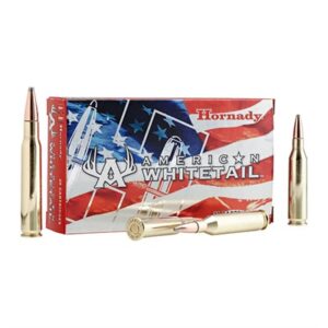 243 Winchester 100 Grain InterLock Boat Tail Soft Point - 20 Rounds 090255380477
