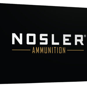 Nosler Ballistic Tip .30-06 Springfield 165gr Spitzer - 20 Rounds per Box 054041400435