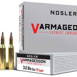 Nosler Varmageddon .243 Win 55gr Flat Base Tipped Bullets - 20 Count Box 054041651653