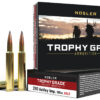 Nosler Trophy Grade Long-Range .280 Ackley Improved 150gr Spitzer AccuBond - 20 Rounds per Box 054041601160