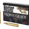 Nosler .300 Win Mag 180 Grain AccuBond - 20 Rounds 054041600590